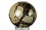 Polished Septarian Sphere - Madagascar #260023-1